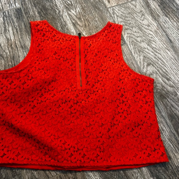 Nicole Miller XL lace design - Picture 4 of 6